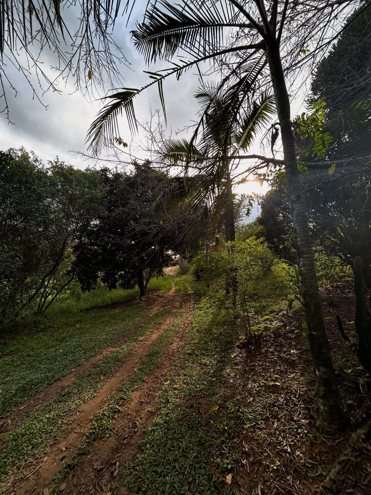 Sítio com açude e lago de tilápias — foto 1