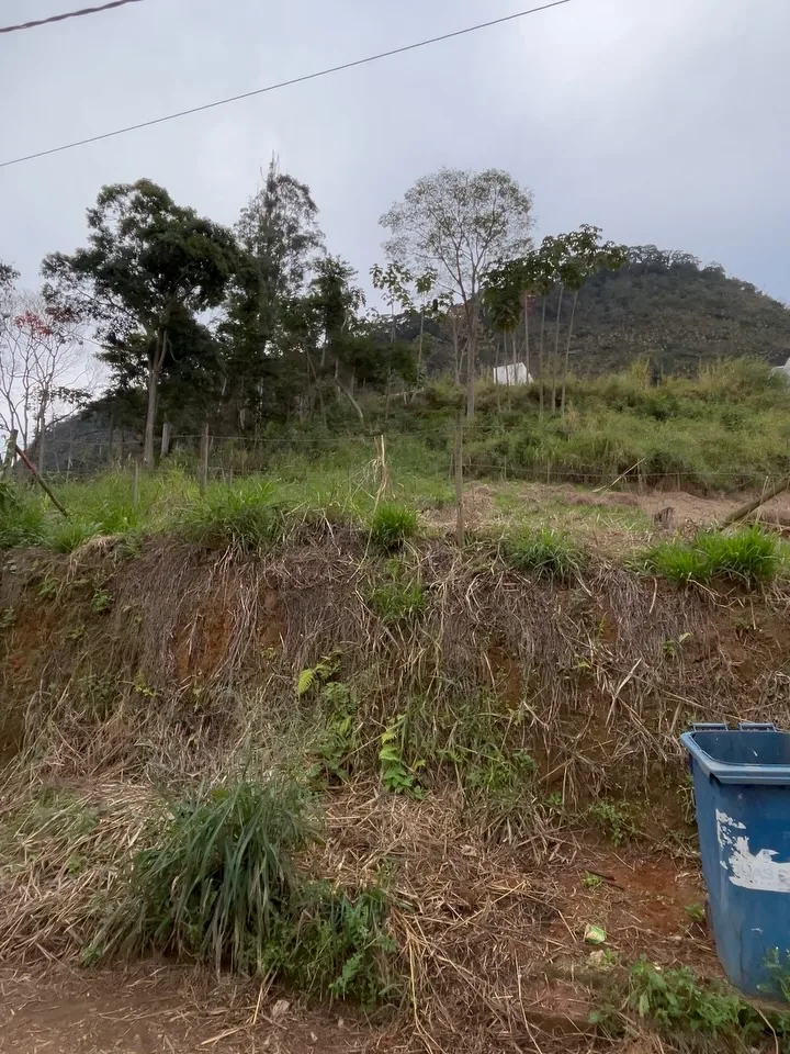 Lote no Centro de Duas Barras — foto 3